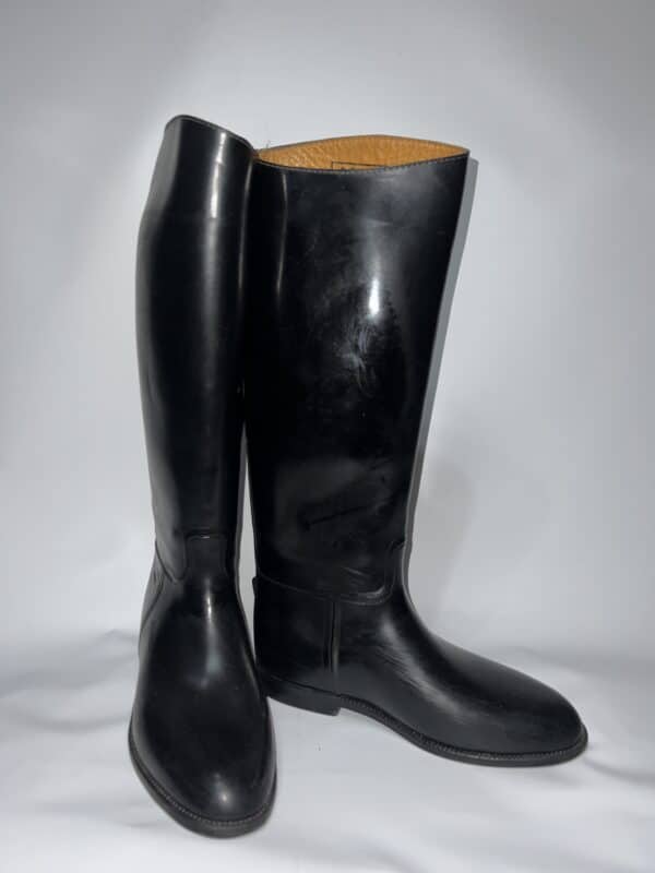 Botas de equitación marca Aigle talla US 9 Y 1/2