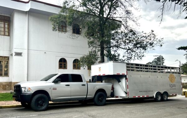 Tráiler y RAM modelo 2017 para caballos - Imagen 2