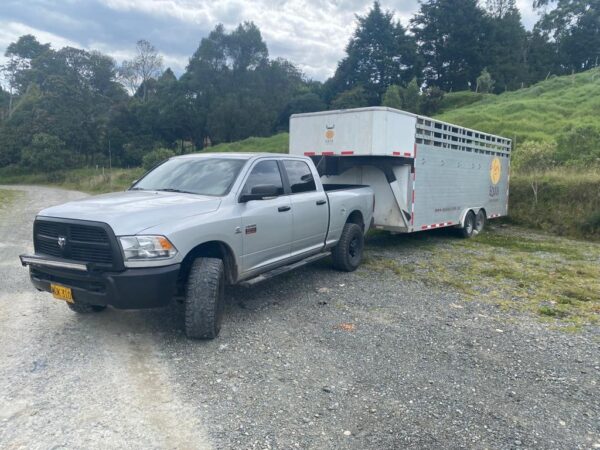 Tráiler y RAM modelo 2017 para caballos